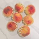 백두농원 | 여름 물복 추천 [백두농원] 상주 말랑이 백도 강추 후기