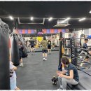 대한권투 체육관 | 신림동운동 신림동 대한권투체육관 체험기