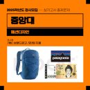 네오캣