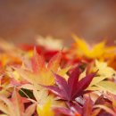 윤비뇨기과의원 이미지