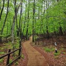 ▣【충북 걷기】 속리산 보은 세조길 걷기- 법주사/목욕소/세심정 이미지