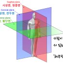 생활 역학 이미지