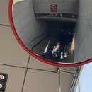 서울 강남 오일파스텔 원데이클래스 후기｜강남 미술학원 강남 성인취미미술