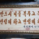 예인도시락 Daum카페