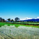 황제세탁소 이미지