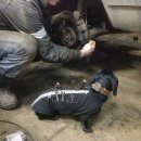 몬스터박스 이미지