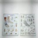 장기역 | 🦶레푸스 장기역점 후기 | 인생 첫 발각질 제거, 아기 발처럼 맨질맨✨