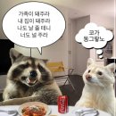 6월 요모조모 - 1