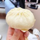 라이온더 이미지