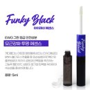 펑키안나 네이버블로그