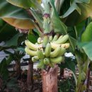 간현농장 이미지