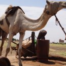 남부방앗간 이미지