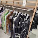 와이와이존 이미지