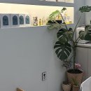 카페 꽃일다 | 나만 알고 싶은 힐링 성지, 백석동피부관리 끝판왕 발견했어요!