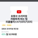 독플러스 | 유튜브 프리미엄 싸게 하는 방법 피클플러스 공동구독 내돈내산 후기