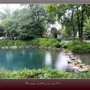 연못 이미지