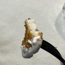 월드피시 이미지