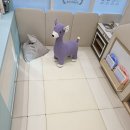 예림 대리점