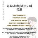 스마트 태권도 이미지