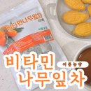 비타민농장 | 영월이룸농장 비타민나무잎차, 건강 가득한 솔직 후기