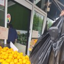(유)바나나청과마트 | 전주과일가게! 송천동 청과가게 오색청과 과일추천