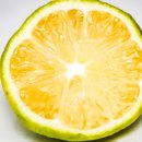 리빙엔비즈니스 이미지