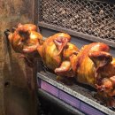 옛날통닭 맞은편 횡단보도 | 전주 서신동 전기구이 통닭 트럭 노릇노릇 겉바속촉 위치 가격 내돈내산 후기