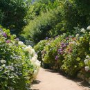 죽성농장 이미지