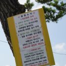 옹동면사무소 이미지