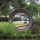 더숲 | 영주 국립산림치유원 2박3일 숙박 및 카페인더숲 후기