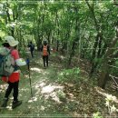 내곡동419 이미지