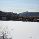 기흥호수공원(생태) | 용인 기흥호수공원 산책 코스 / 주변 막국수 맛집 &amp; 한옥카페 「고매커피」 후기