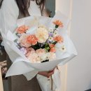 세종 가성비 감성 꽃집 :: 대평동 꽃집 리포레스트 플라워에서 선물용 카네이션 화분 샀어요 :)