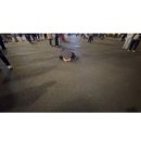 여시코빼기 | 🇨🇳 상하이 여행 기록 [상하이 방문 1회만에 상하이 여시가 되..]