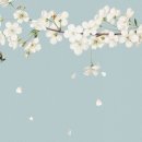 참즐거운음악학원 이미지