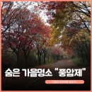 풍암제길 이미지