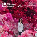 지에스25태안해안점 | 2026 태안국제원예치유박람회 안면도 가볼만한곳 안면암 코스 아름여행사 후기