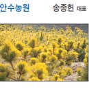세계로관광농원 이미지