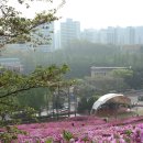 철쭉동산 이미지