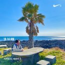 고성하나로마트후문4가 4 | 제주한달살기 올레길 완주 거뜬한 알파캠프로 PICK!