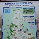 태백로-1 티스토리