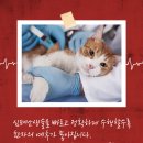 운정힐링 동물병원 이미지