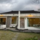 광령귤나무 | [제주도 애월 숙소] 스테이제이스, 제주 애월 감성힐링 숙소 후기