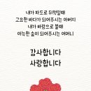 은혜피아노학원 이미지