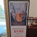 골드헤겔 이미지