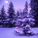 크리스마스 이미지