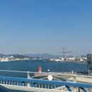 통영터널로가로수 이미지