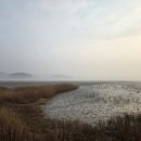 보건진료소 길 앞 이미지