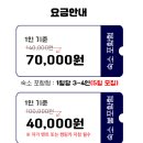 어슬티굿밤 | 어슬티굿밤 1박 2일 시골체험후기