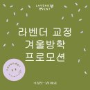 연세라벤더치과교정과치과의원 이미지